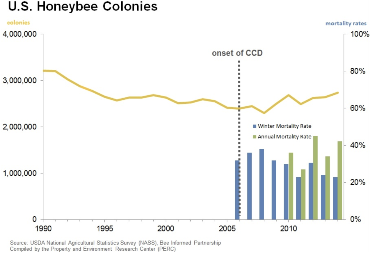 Bee colony graph.png