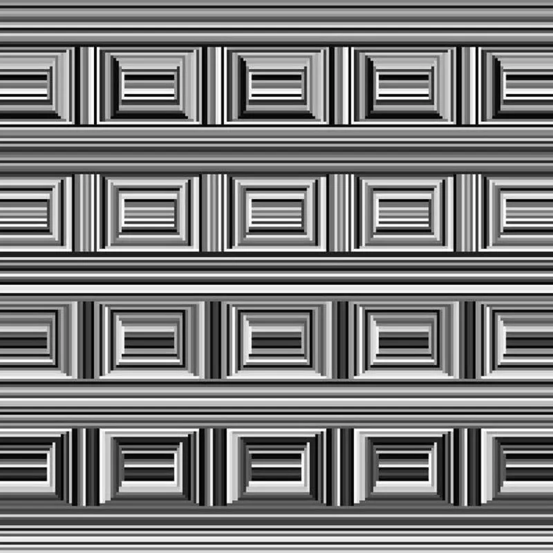 there-are-16-circles-in-this-image-1.jpg