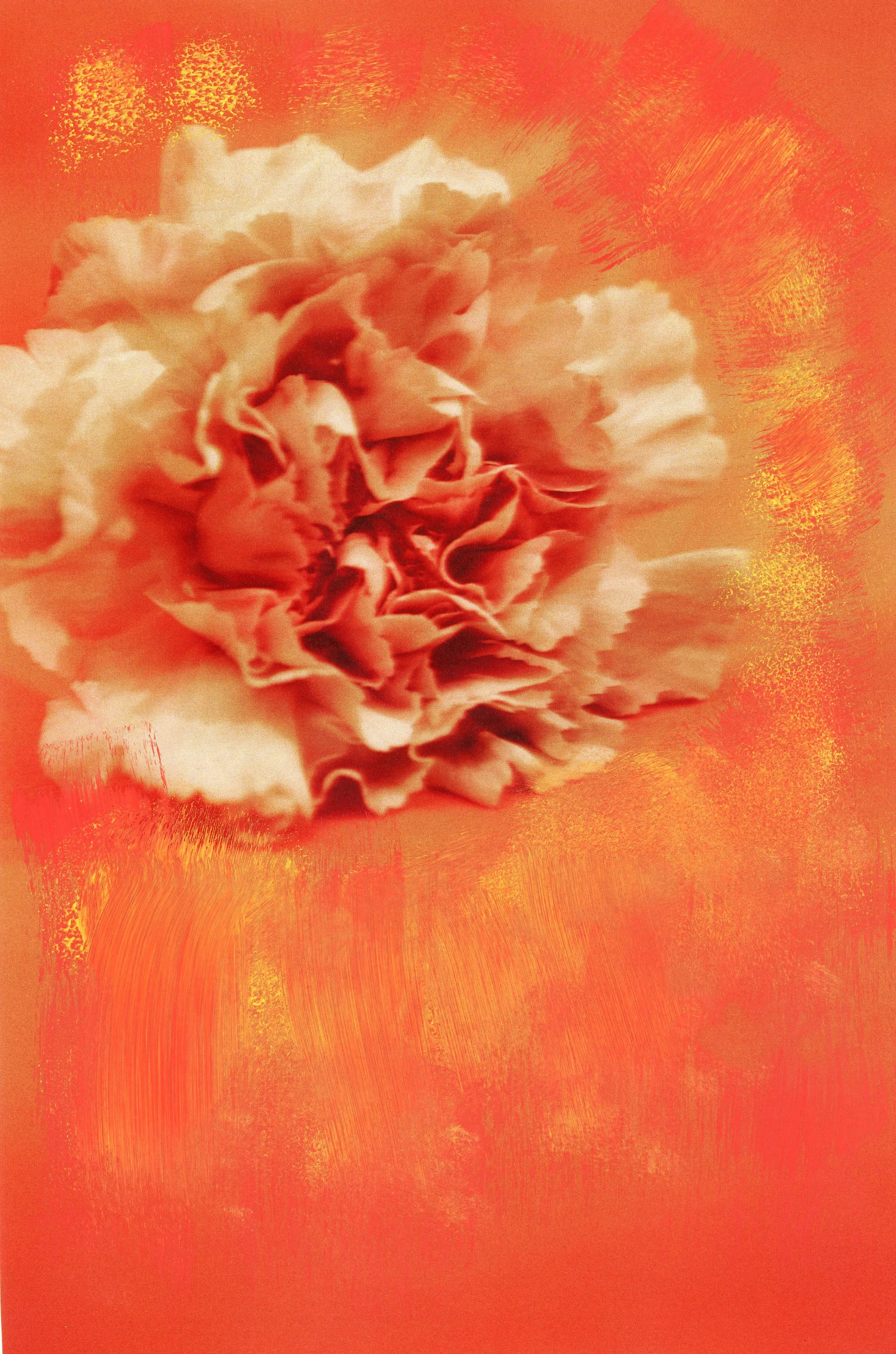 RESILIENCE010.jpg