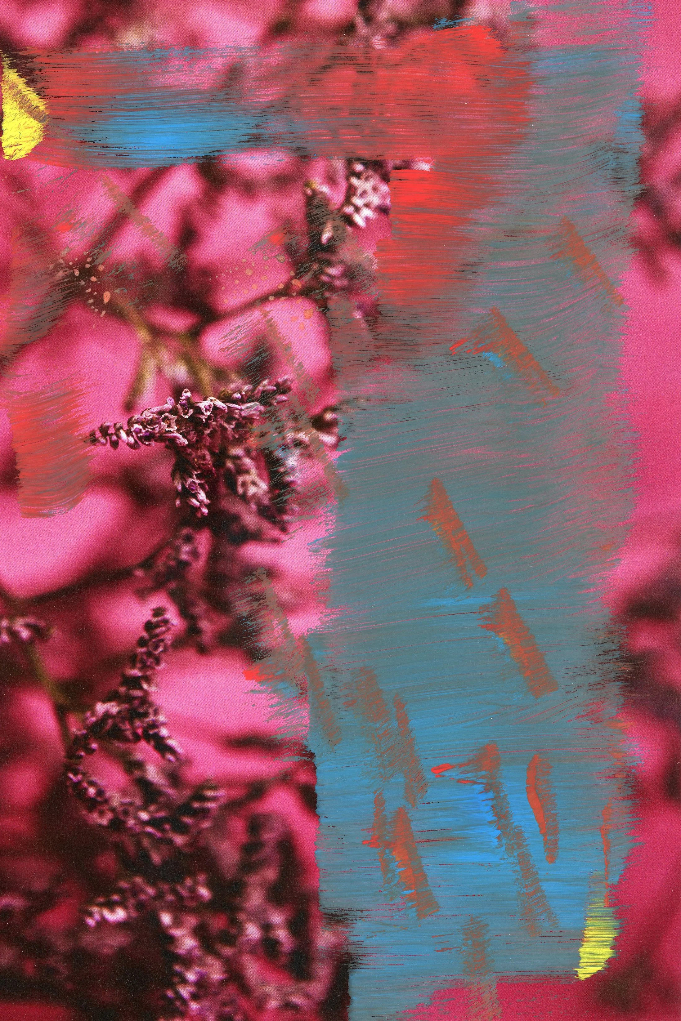 RESILIENCE017.jpg