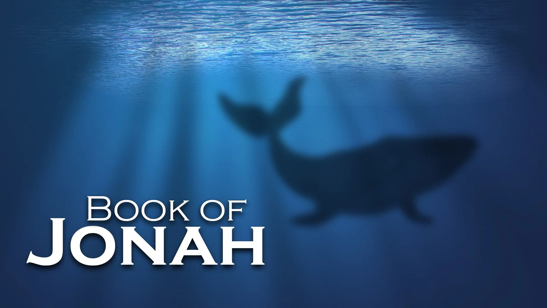 MTY_-_Book_of_Jonah_FINAL.jpg
