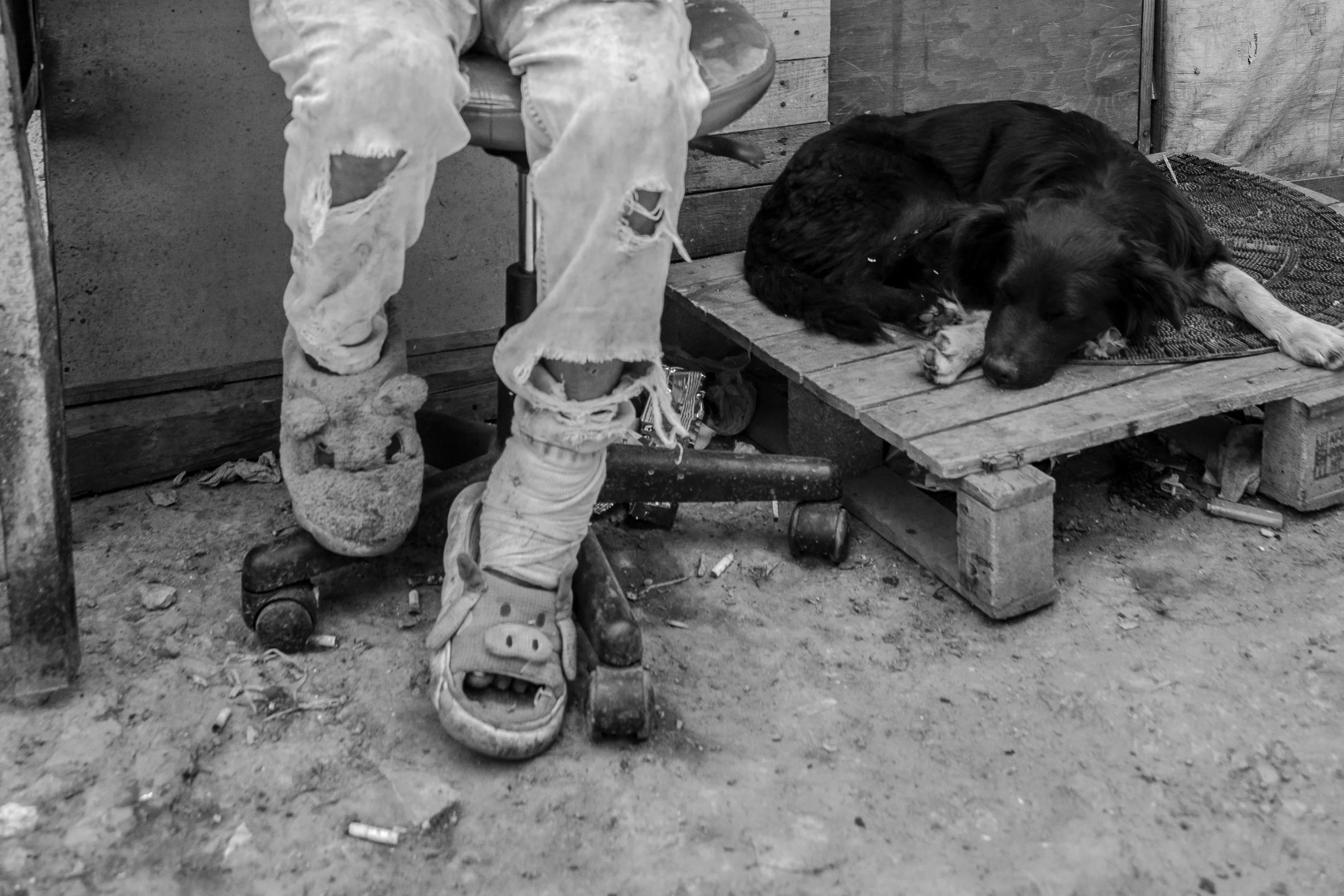 Mary is also taking care of several dogs; now she has only two left. El Negro is the oldest.