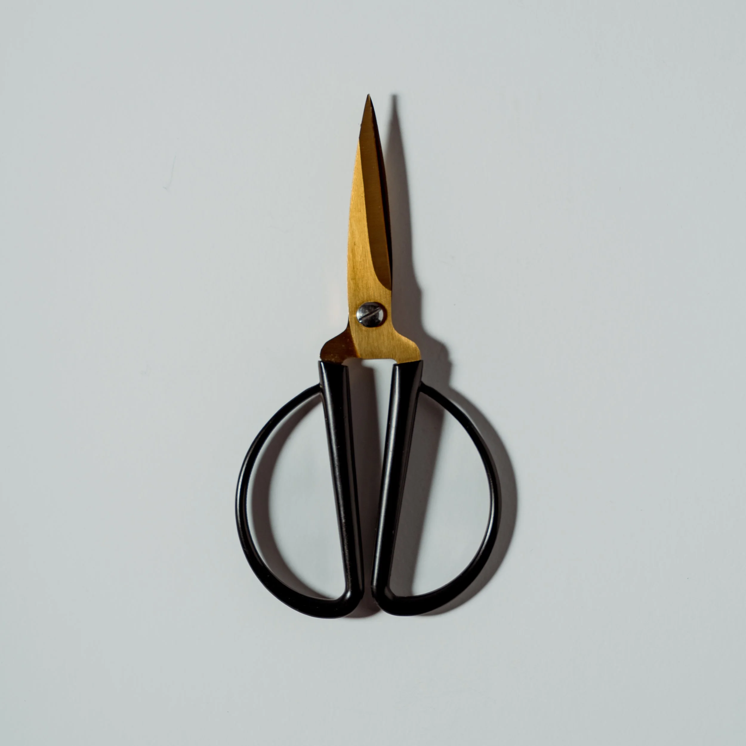 scissors