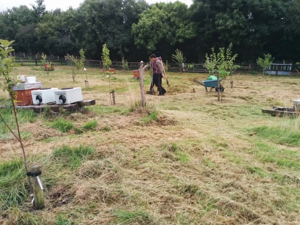 
Raking the meadow & pergola building  