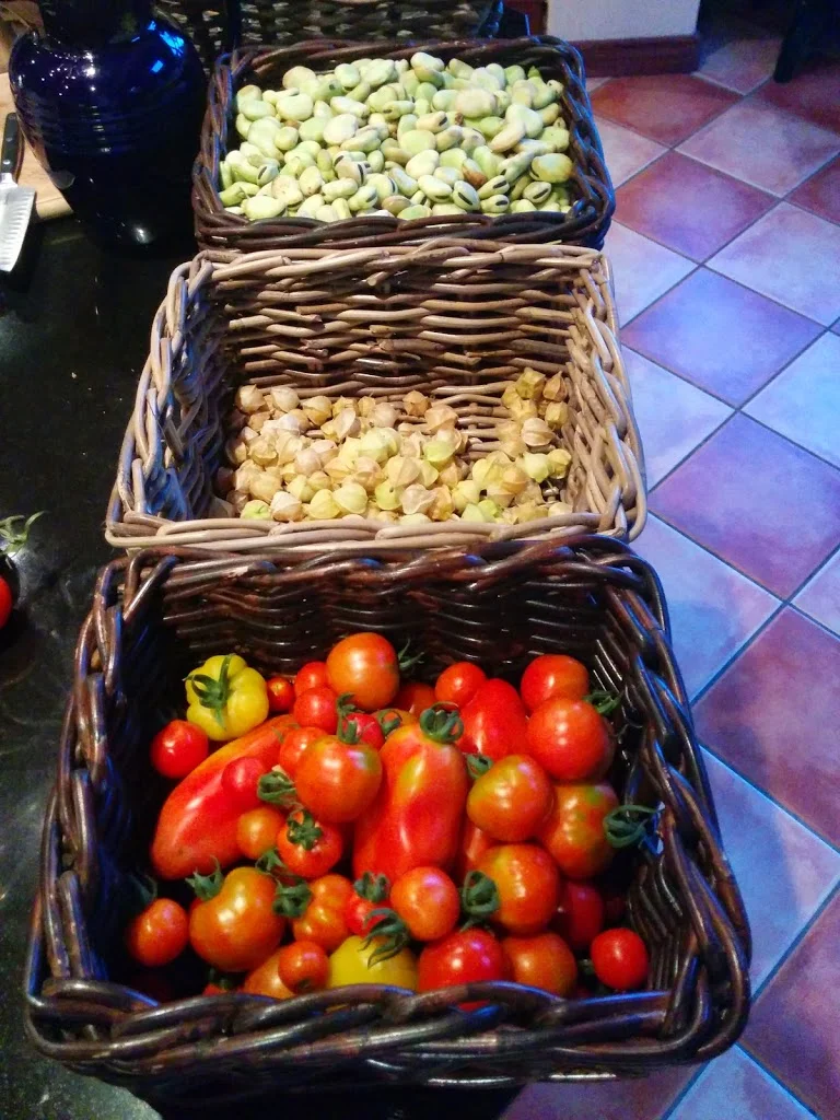 
Some of todays harvest  