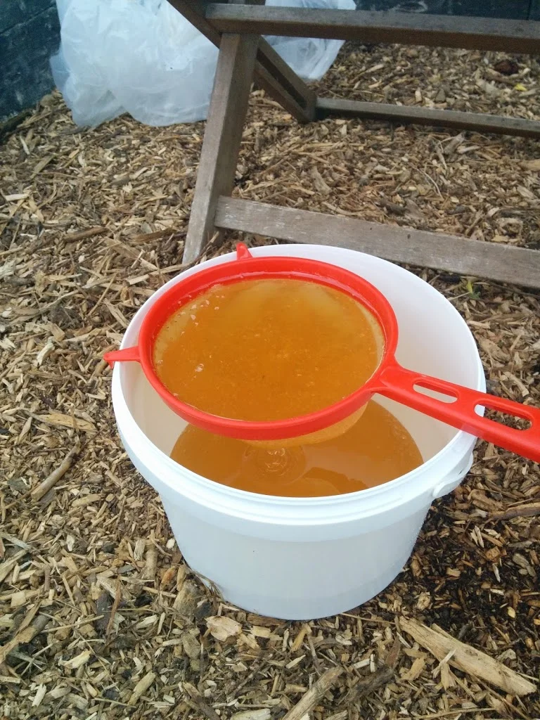 
First bucket of honey  