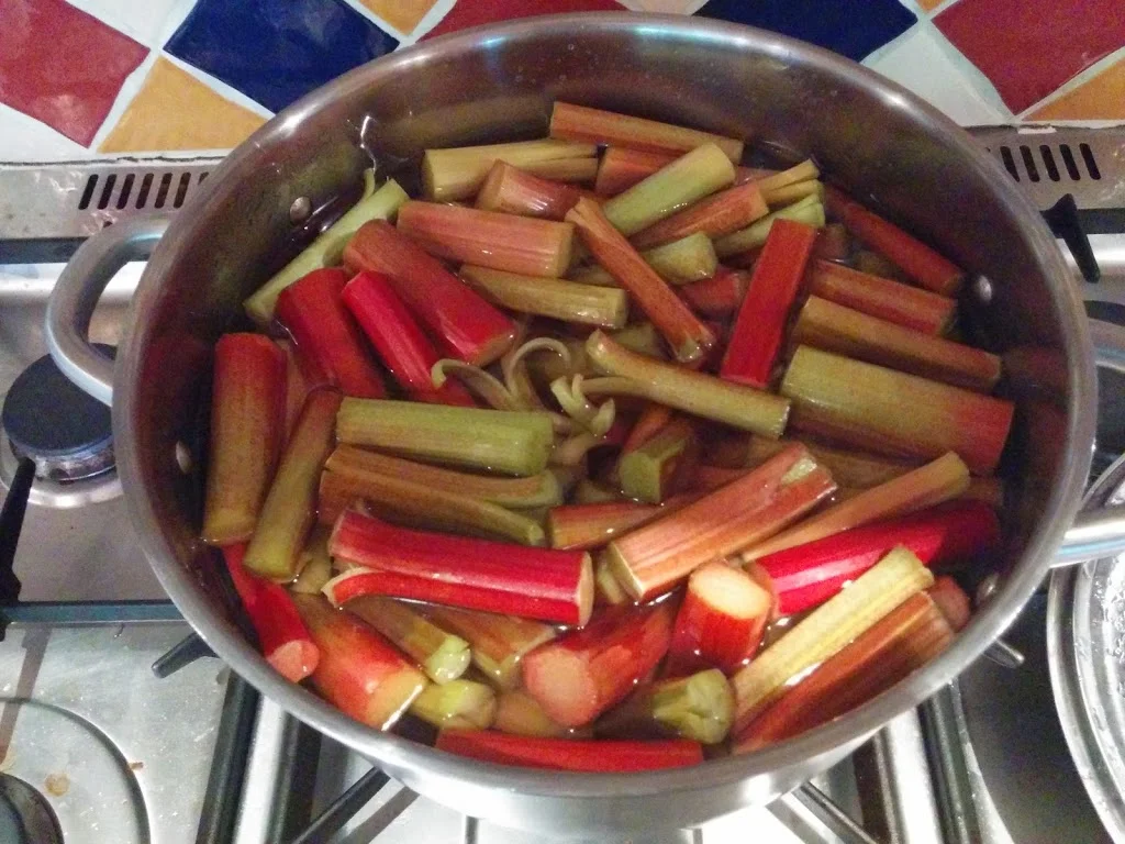 
Preserved rhubarb, pickled onion & broad beans  