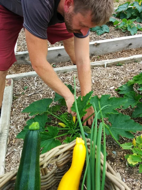 
Some of todays harvest from the veg garden  