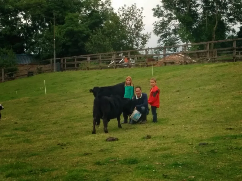 
Buying some cattle???  