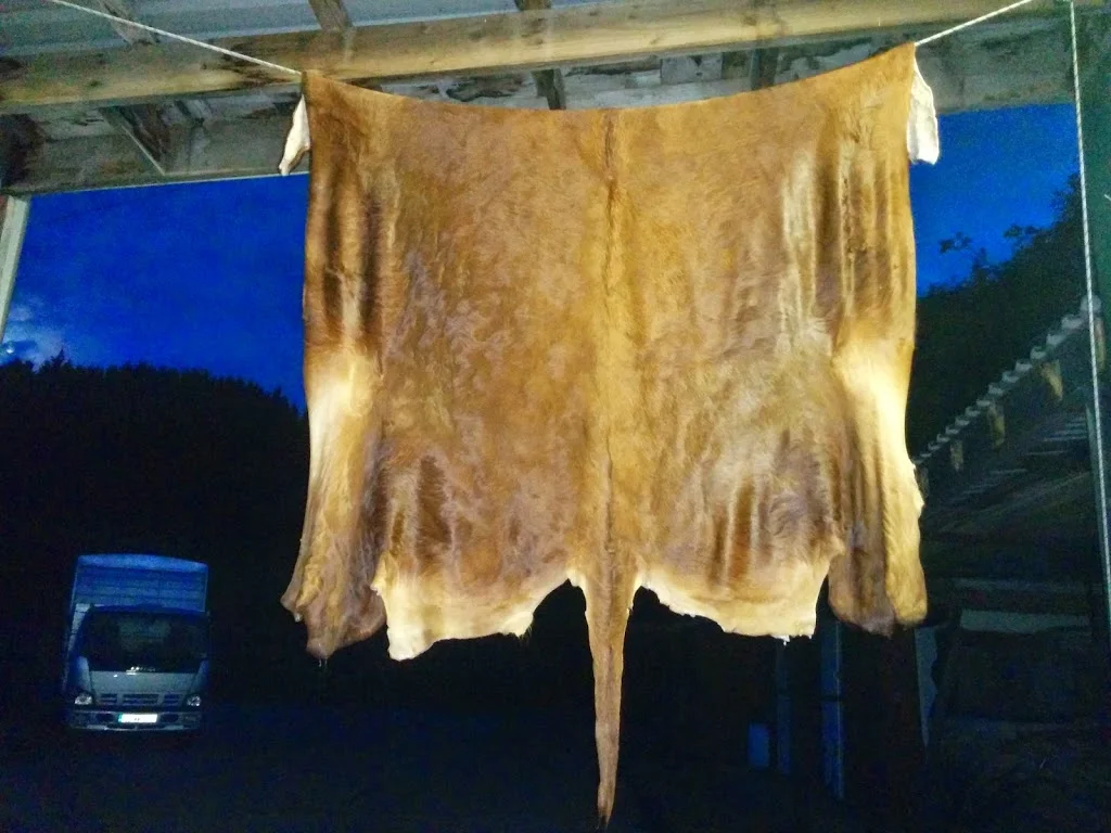 
Cow Hide  
