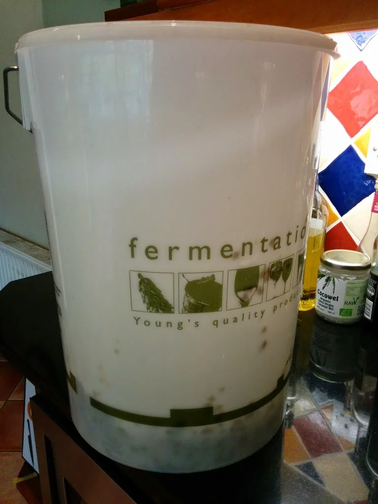 
Last of the elderflowers  