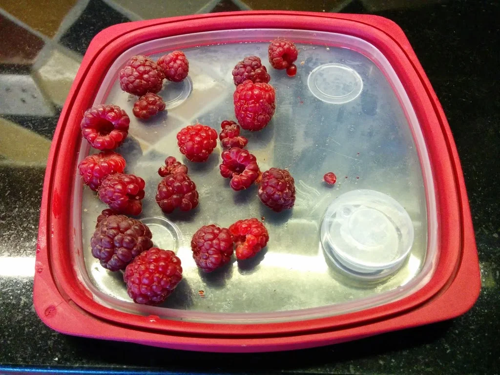 
First of the raspberries  