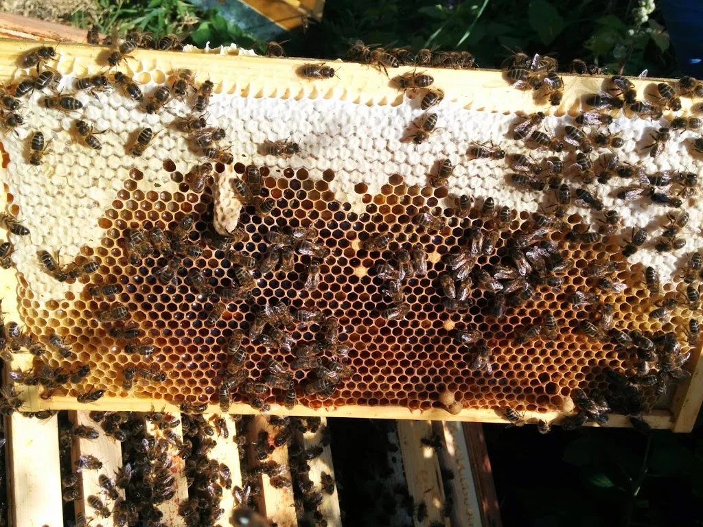 
Hive 3  