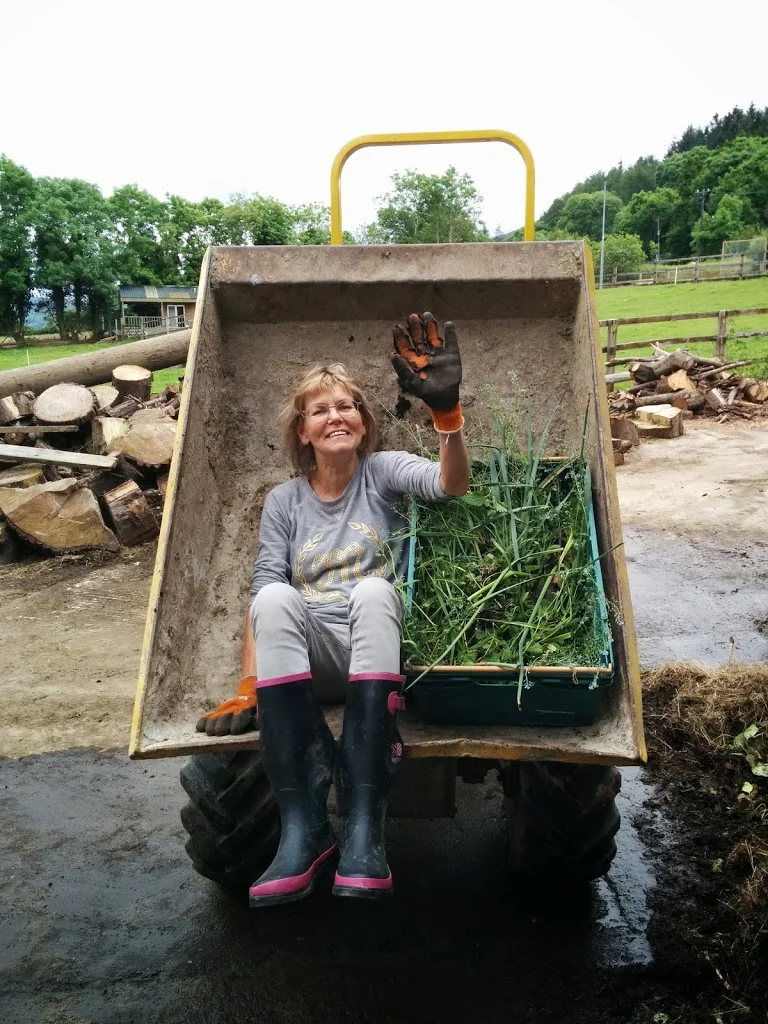 
Hitching a ride in the mini-dumper  