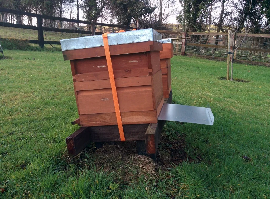 
Varroa treatment of my hives  