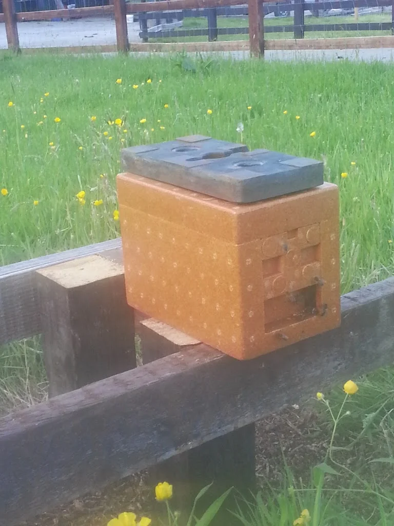 
Second apedia in place  