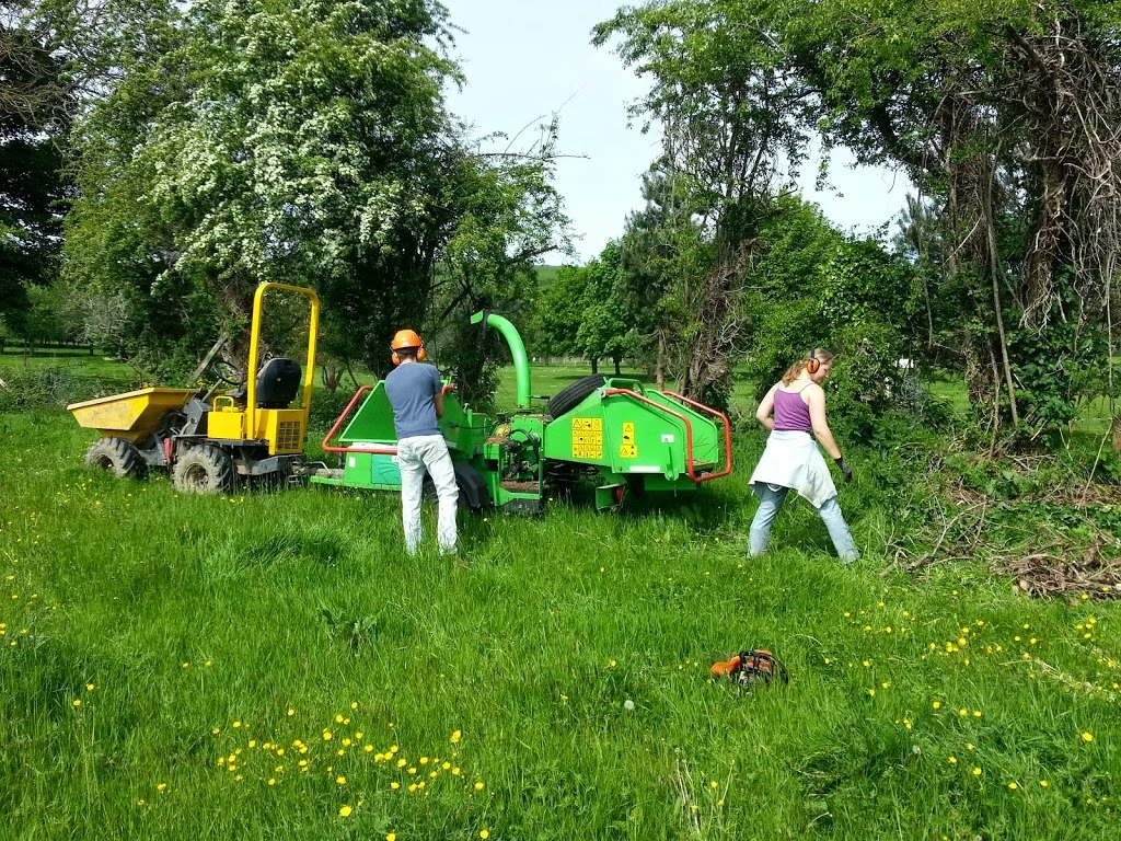 
Clearing the ditches  