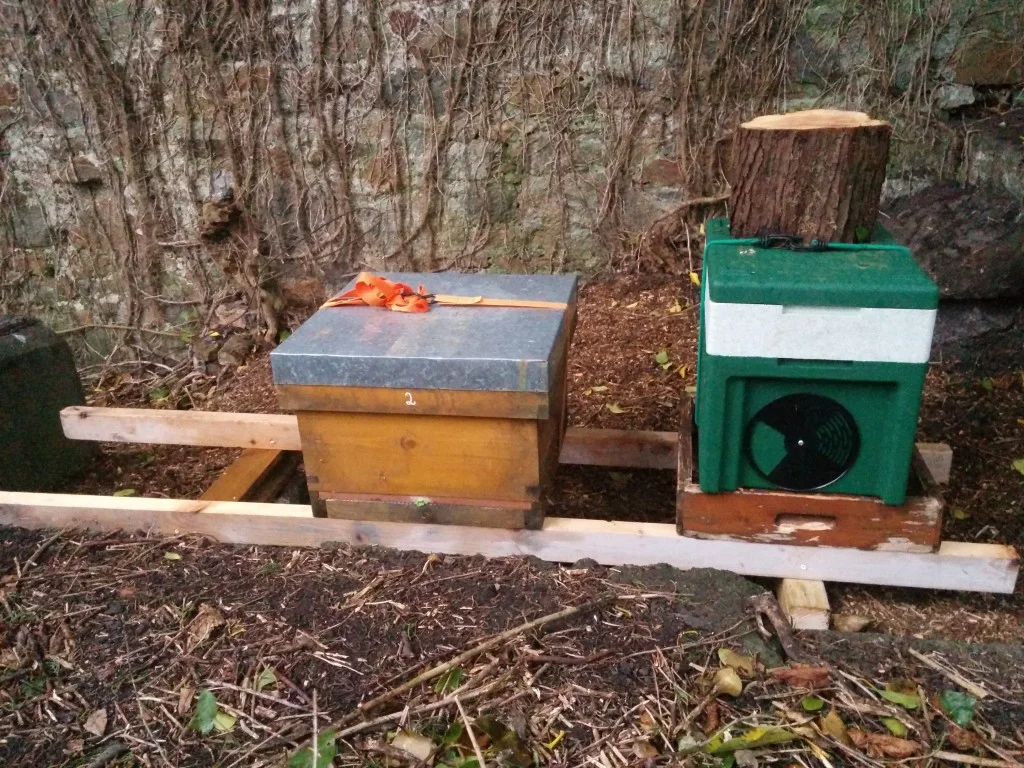 
Hives in place, hope they enjoy their new home  