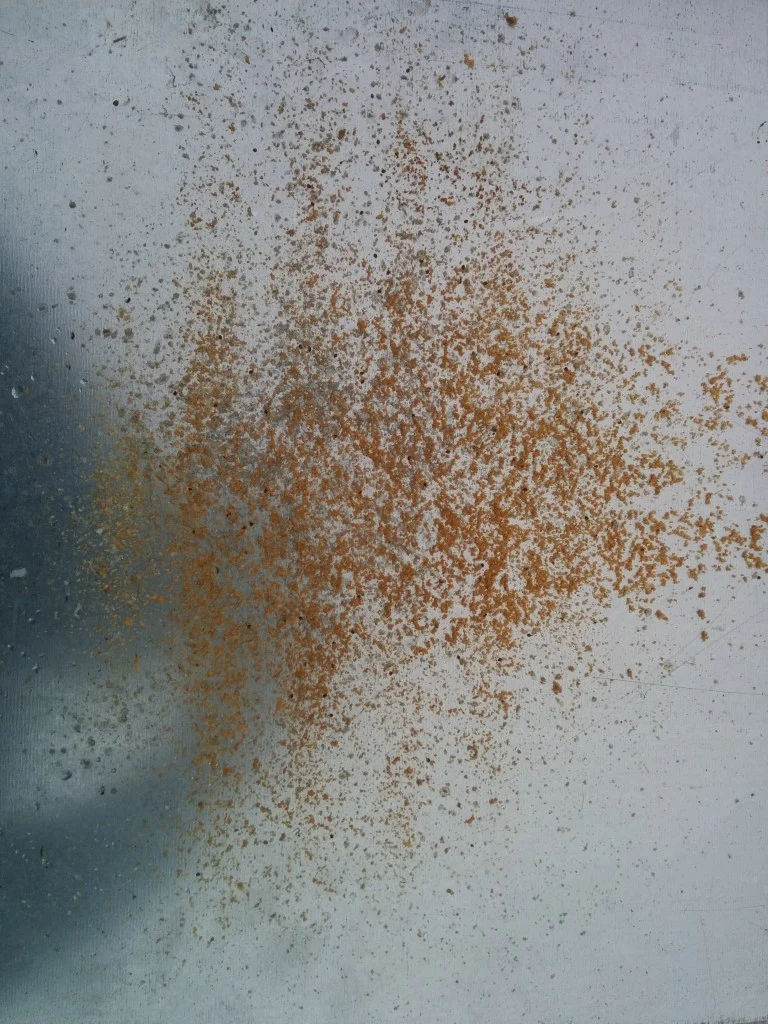 
Some pics of the fallen varroa on the bottom boards underneath the hives after their treatment  