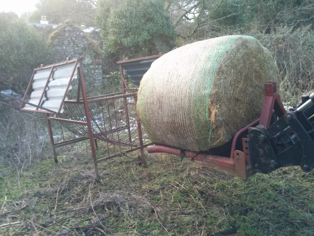 
Feeder moved up to the cattle and picked up a bale of silage from the neighbour  
