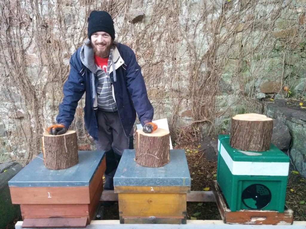 
Moved the 3rd colony of bees to Dalkey this morning  