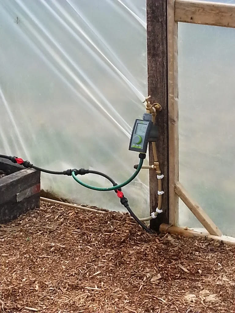 
Polytunnel irrigation  