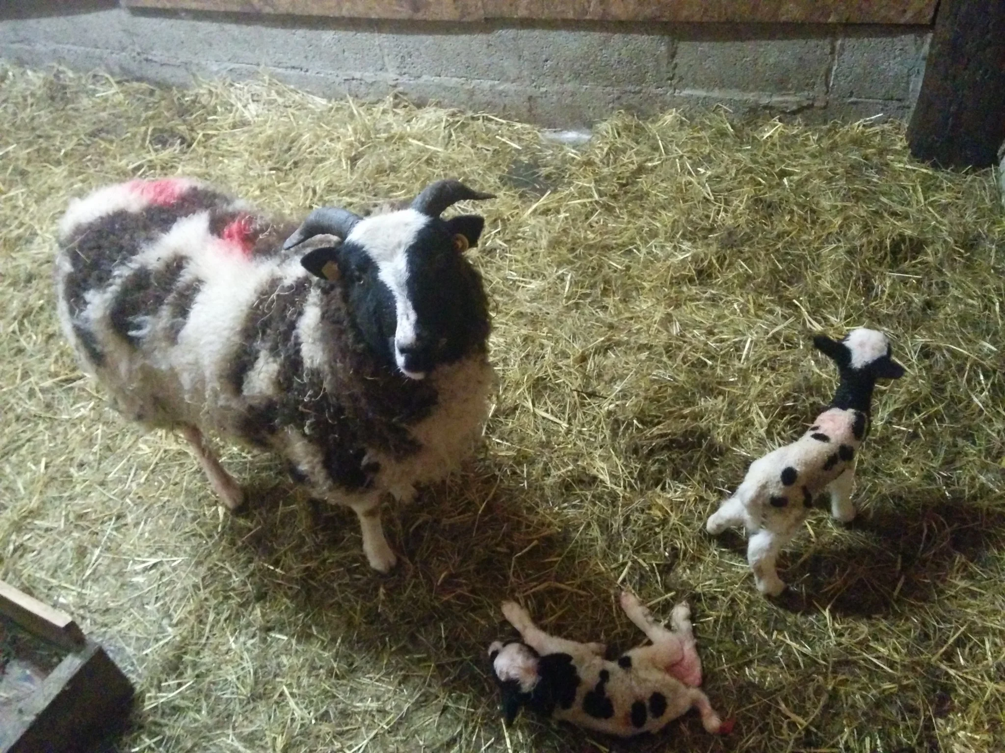 
Back from holidays and an update since we left  