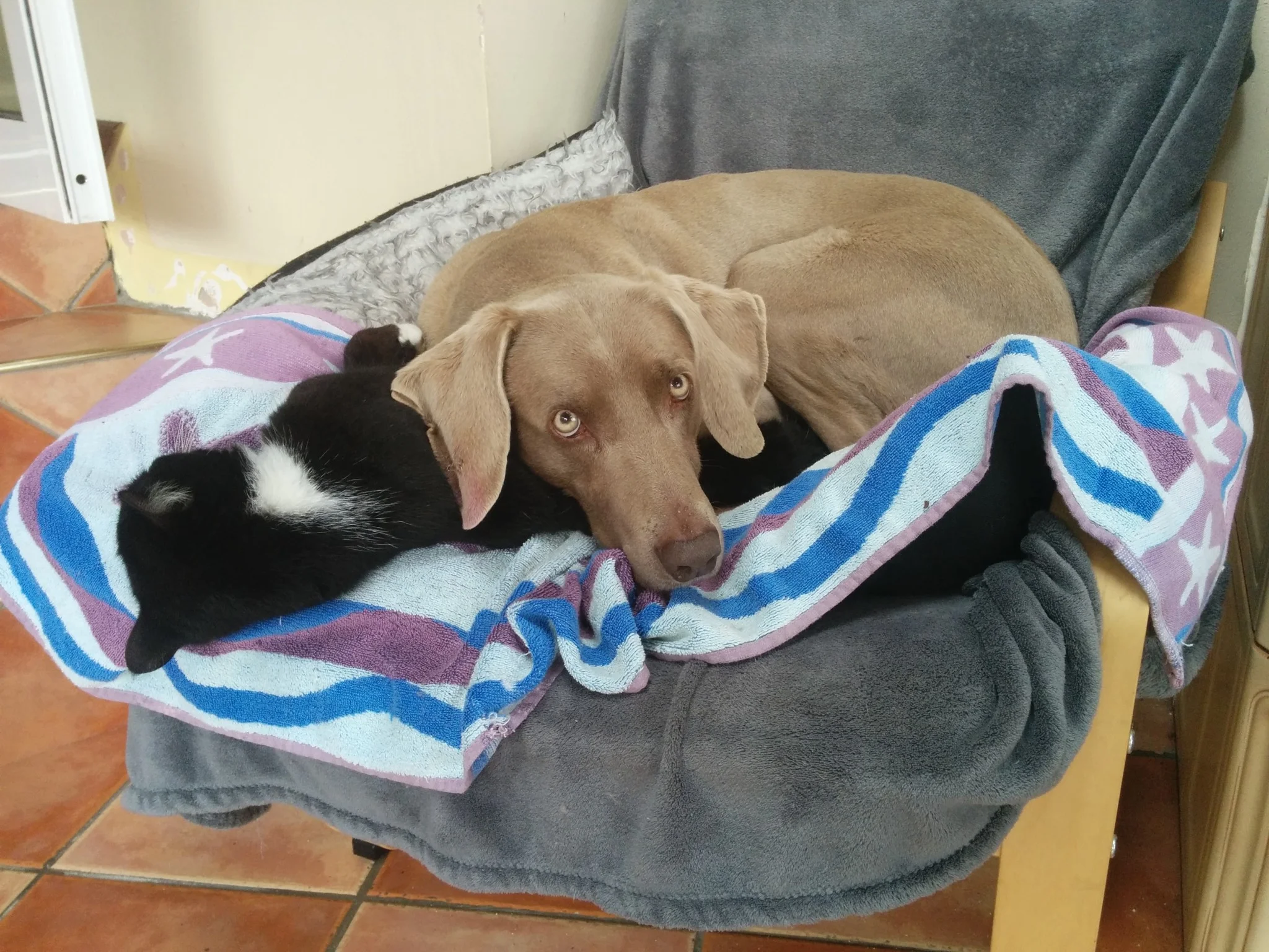 
Stella & Luc are getting super friendly  