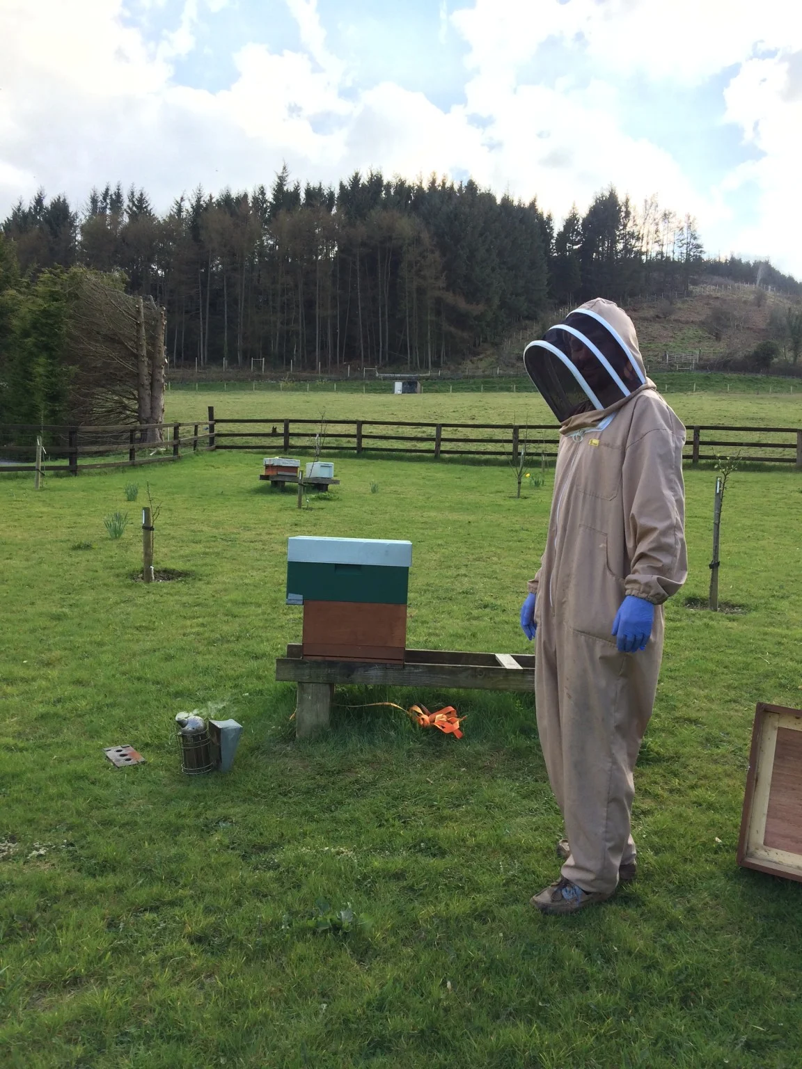 
First Langstroth brood box on  