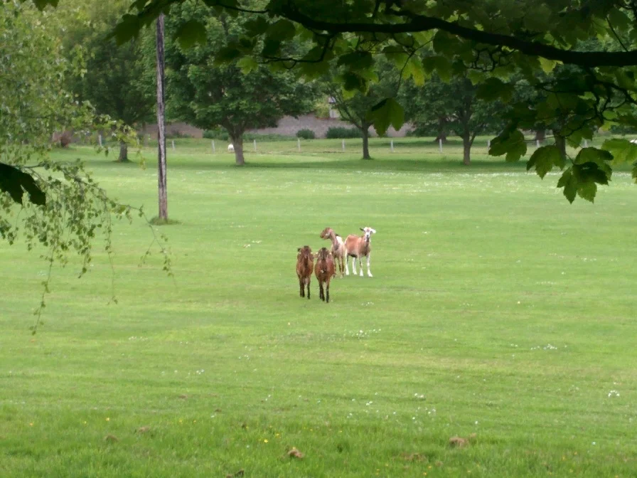 
Escapists on the golf course  