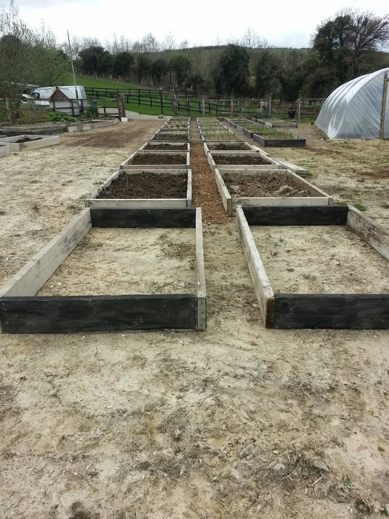 
Making more veg beds  