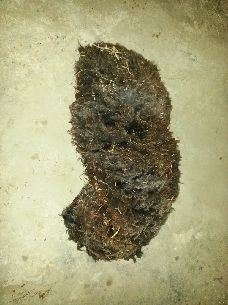 
Having a go at curing a sheep skin - Part 1  