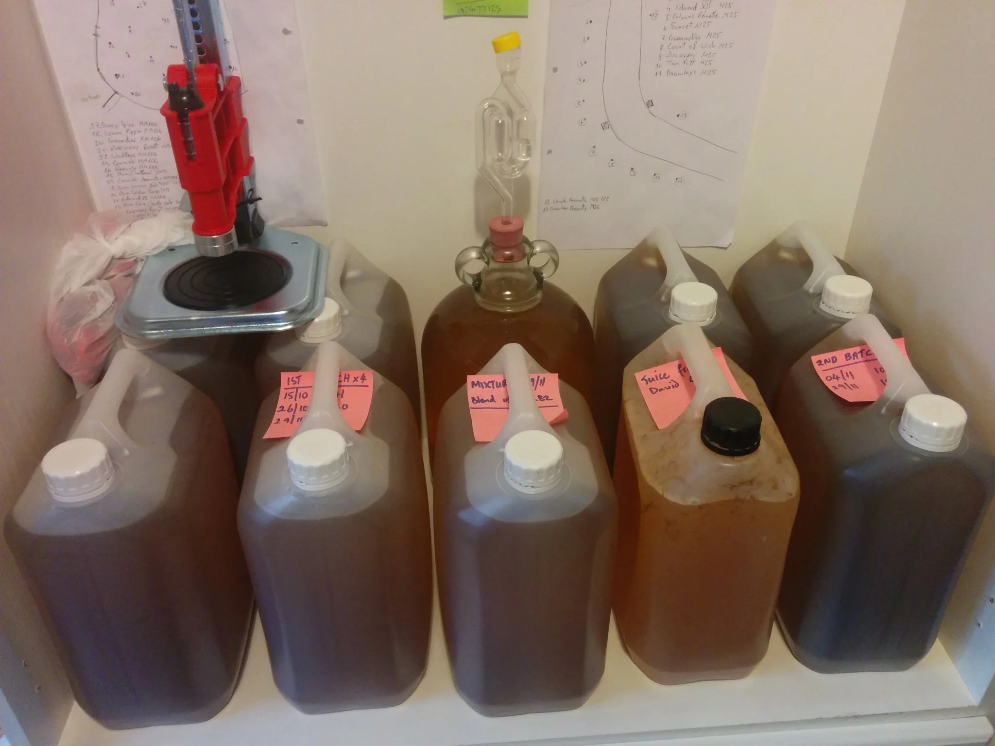
A lot of cider hopefully ready to bottle  