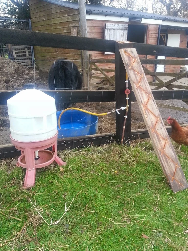 
Some plumbing for the bees  