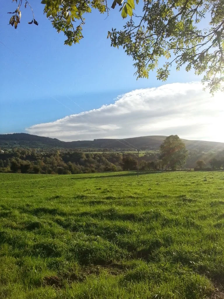 
An Old Video of Archie  