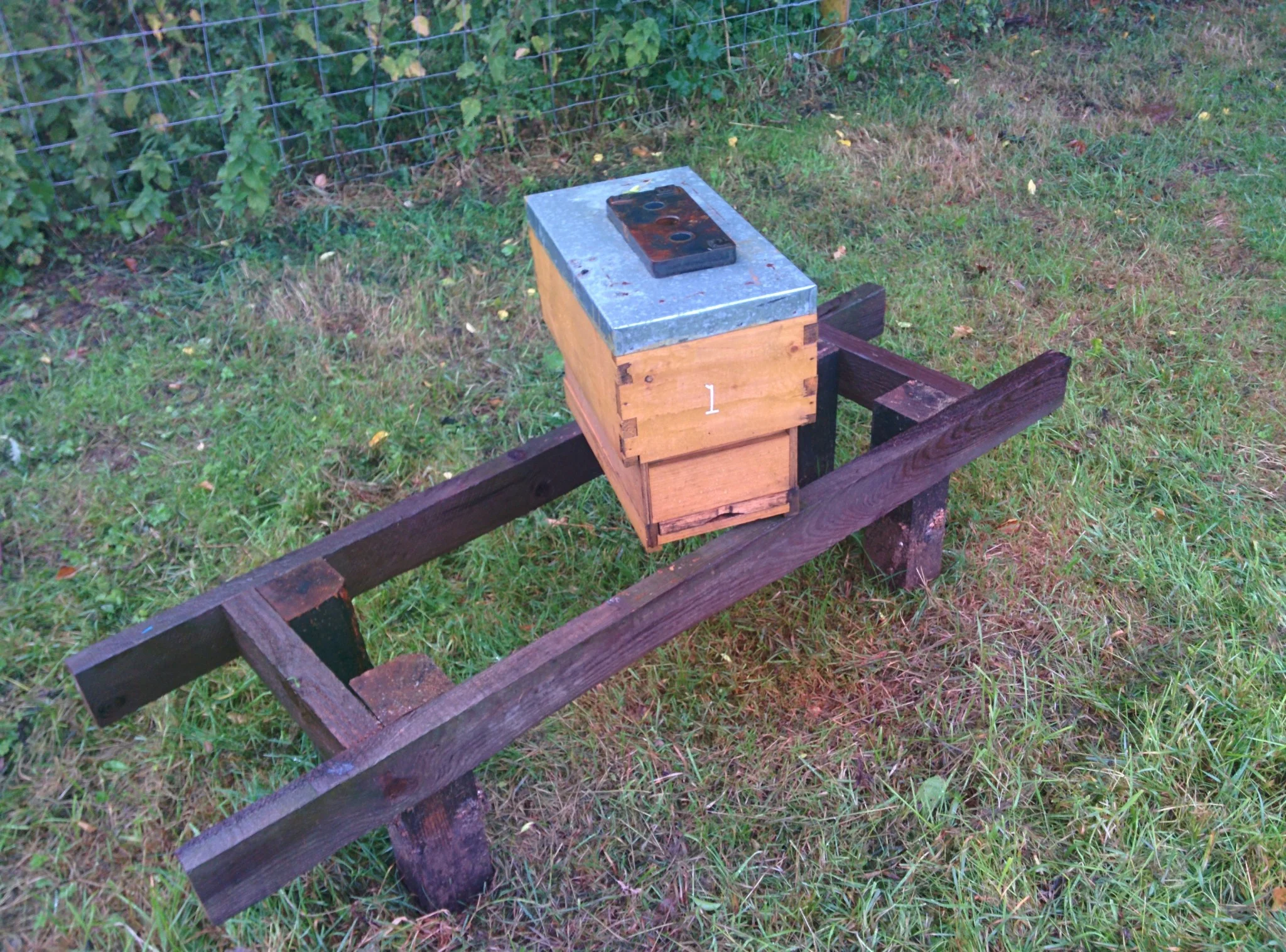 
Cattle nearly knocked over some beehives  