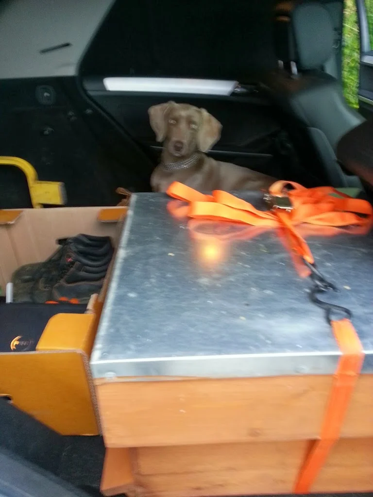 
Hive number 4 returning home  