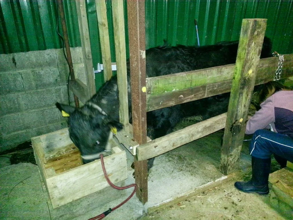 
Mum training for when we are in Cape Town  