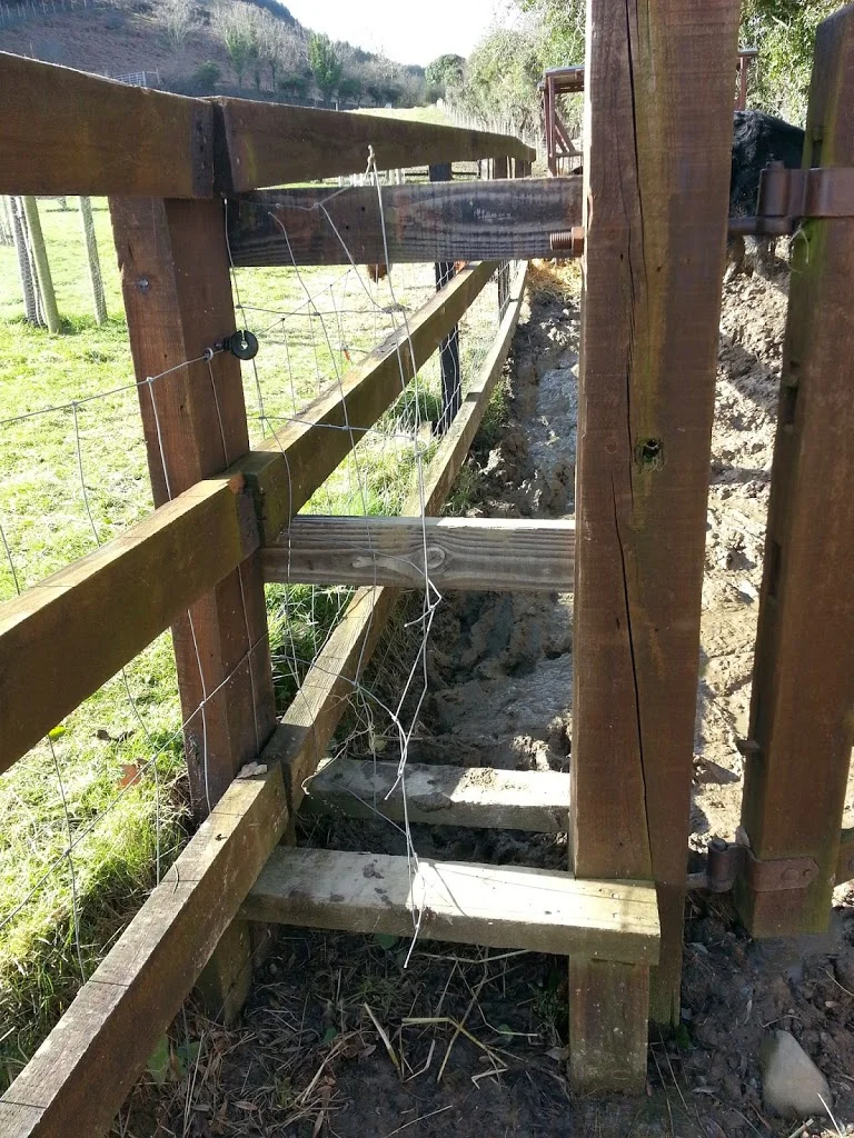 
Alfred keeps escaping  