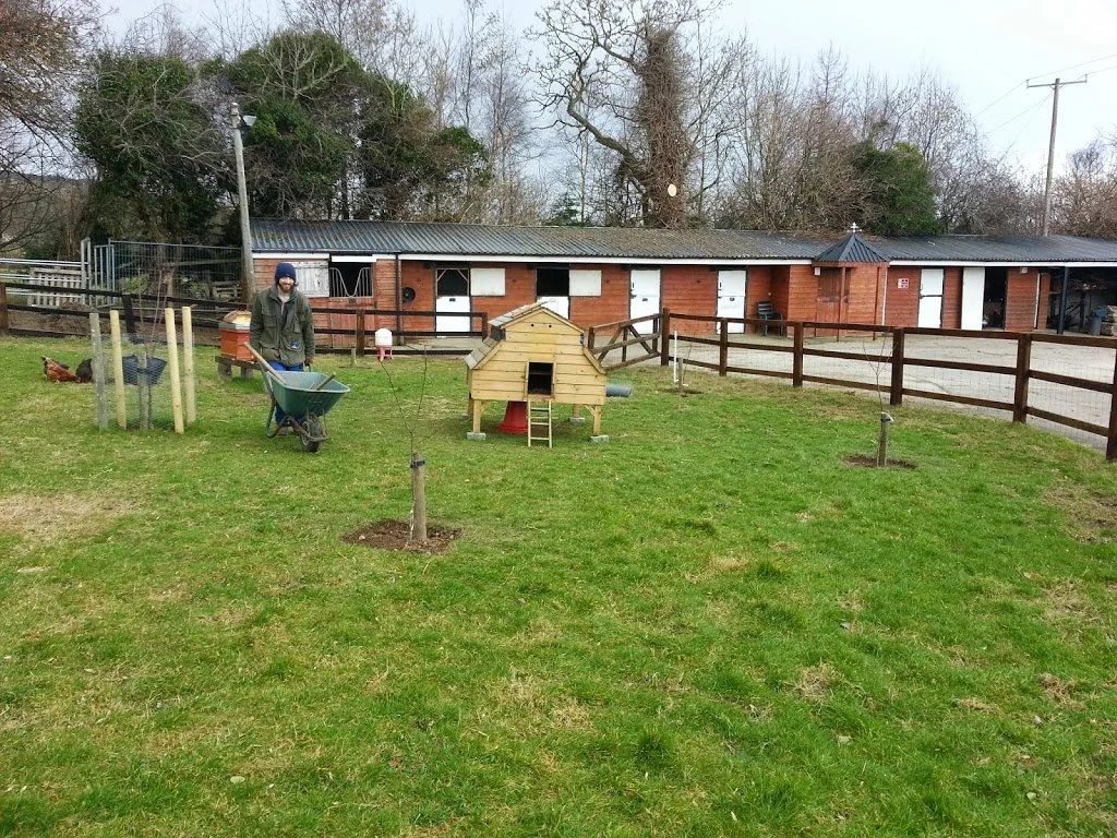 
Planting up the orchard  