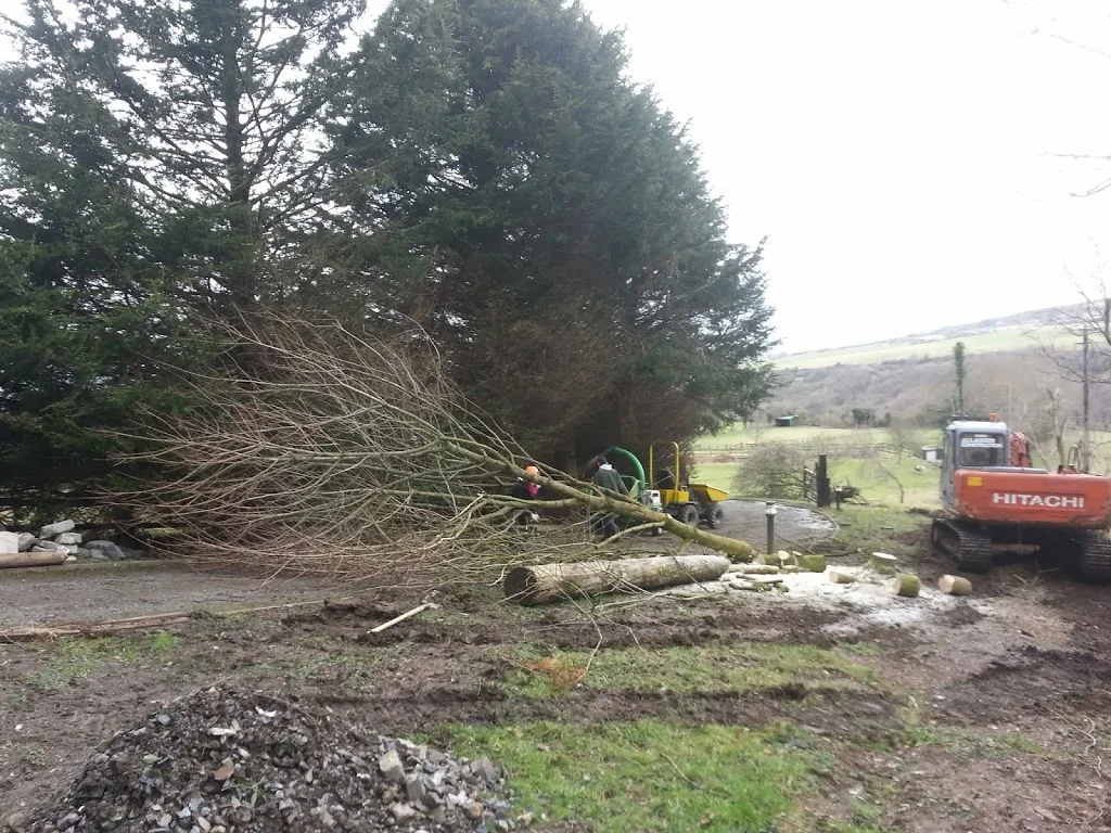 
Final bit of fencing preparation  
