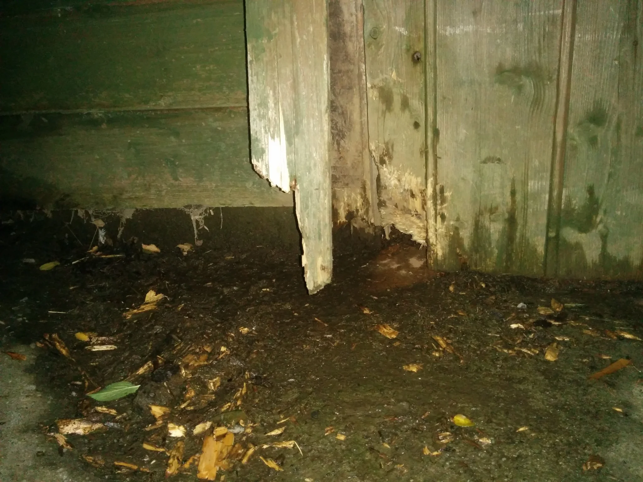 
Fox was about last night  