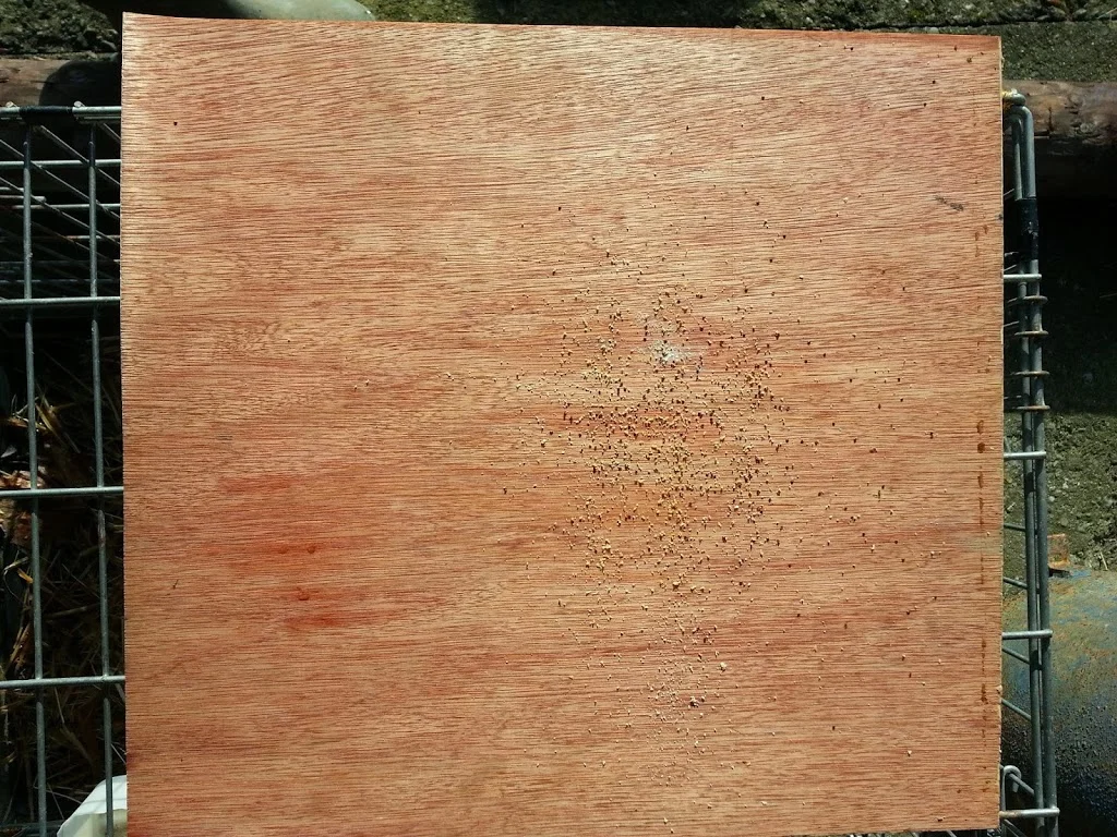 
5 days after treating bees with oxalic acid  