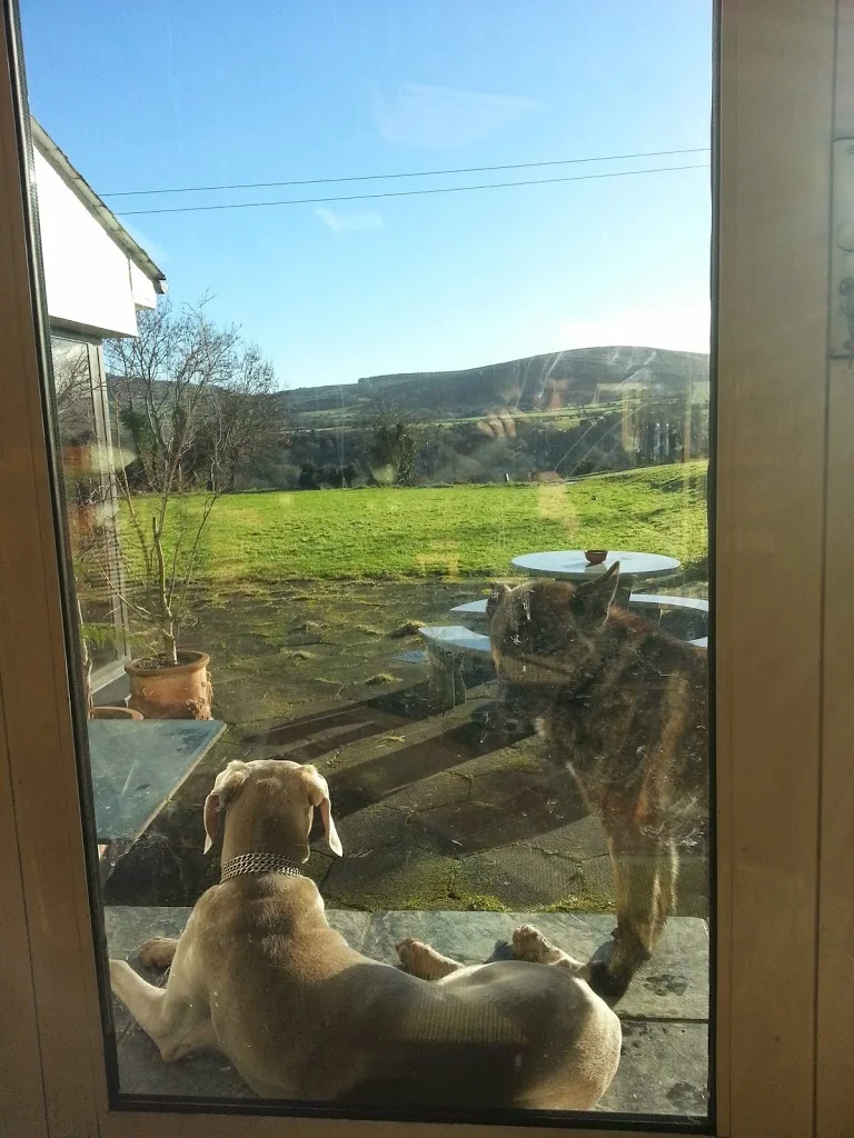 
Beautiful day in the valley  