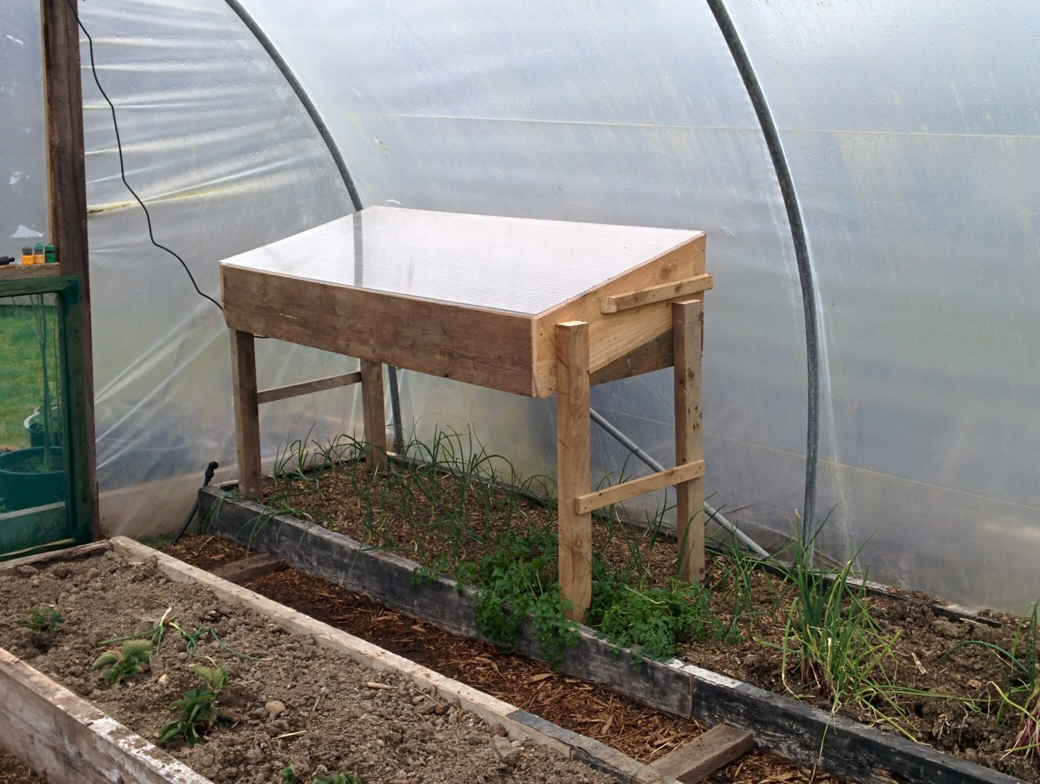 
New Seed Propagator  