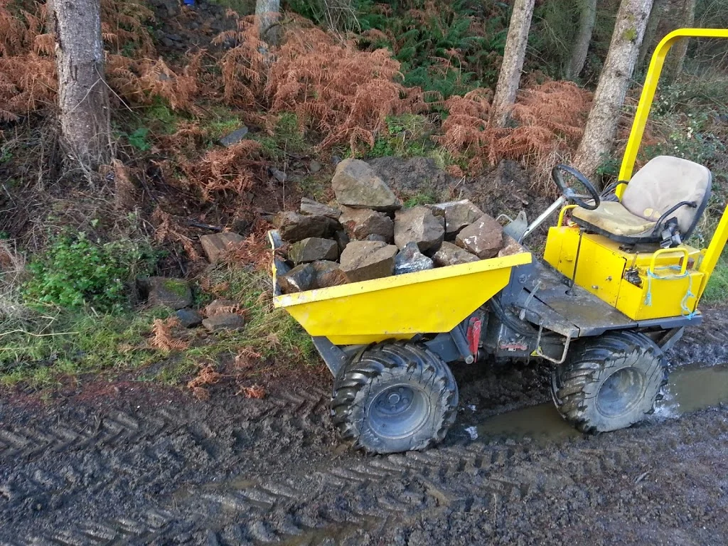 
Stone picking again...  