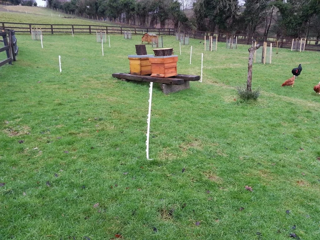 
Extending the orchard  