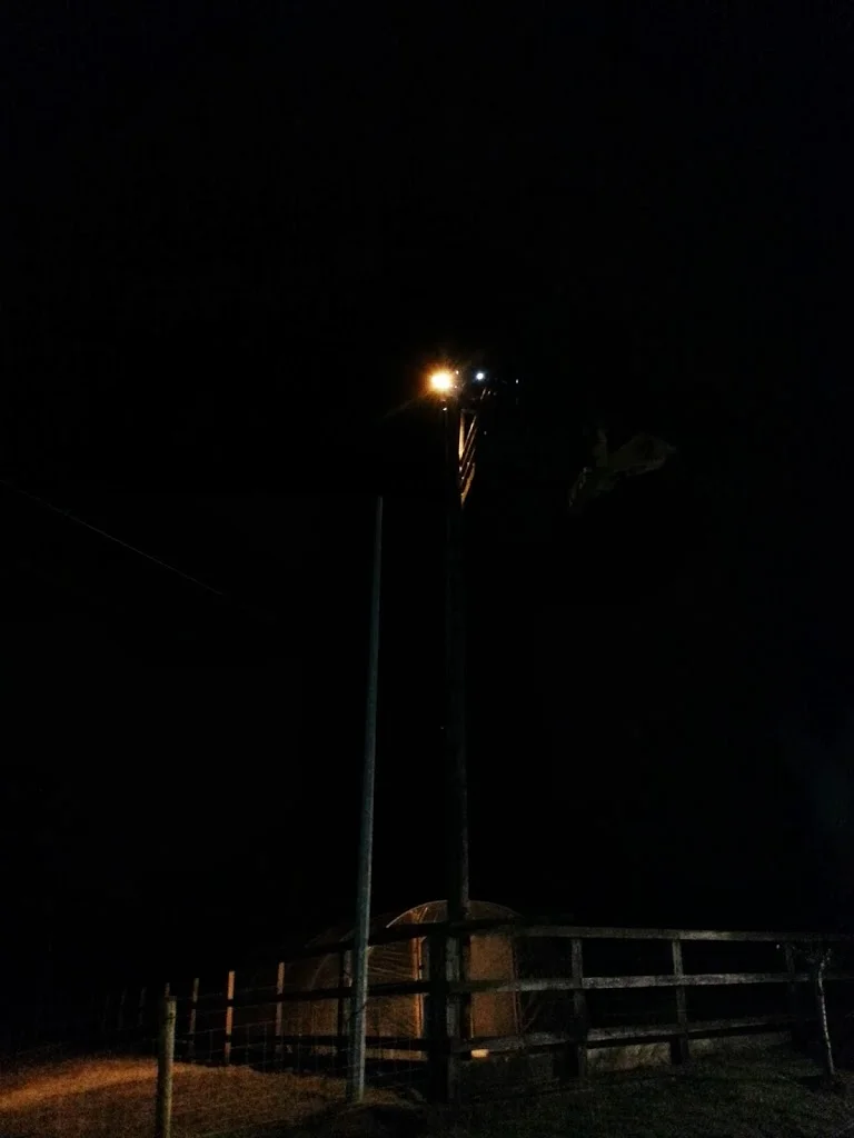 
Chris on top of the pole  