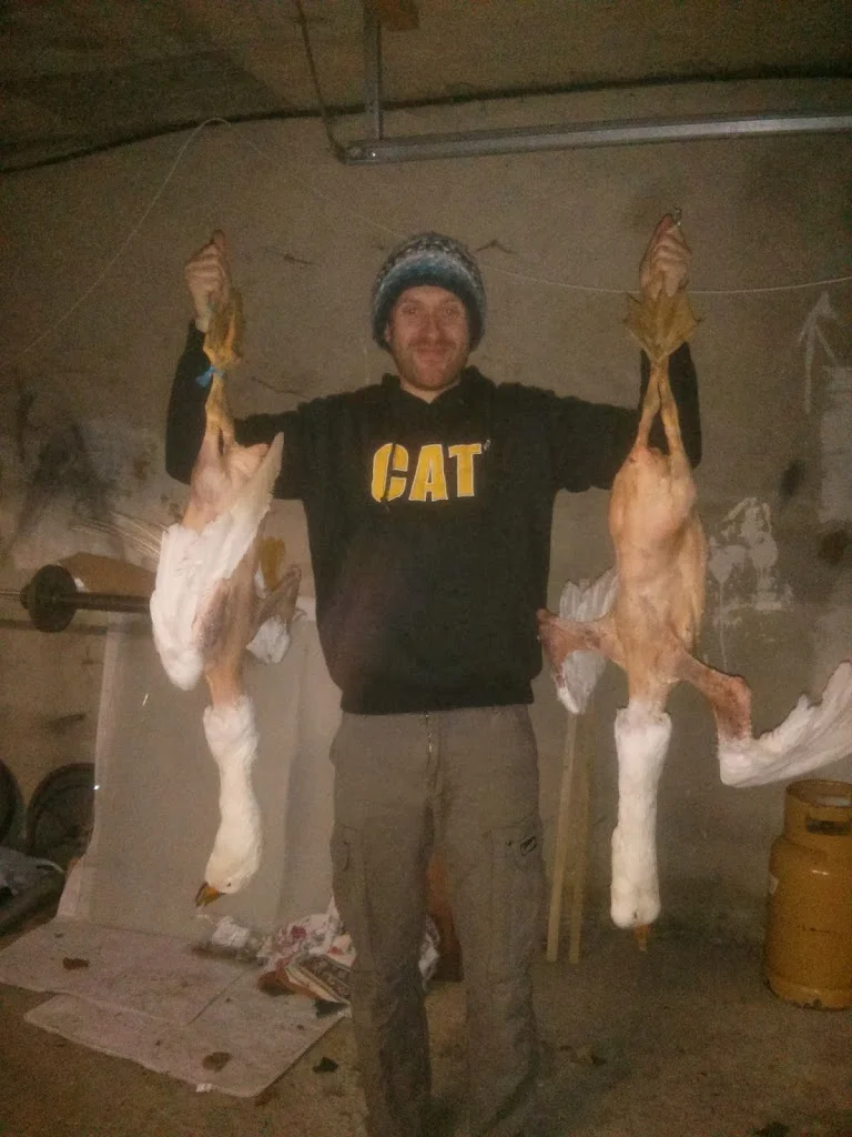 
Xmas goose oven ready  