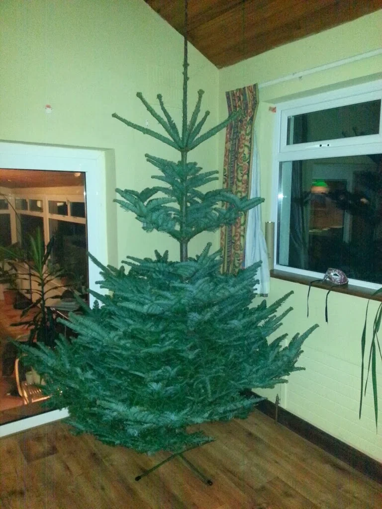 
Finally got the xmas tree  